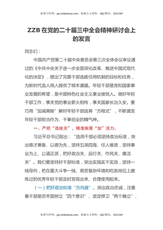 ZZB在党的二十届三中全会精神研讨会上的发言