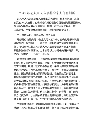 2025年选人用人专项整治个人自查剖析