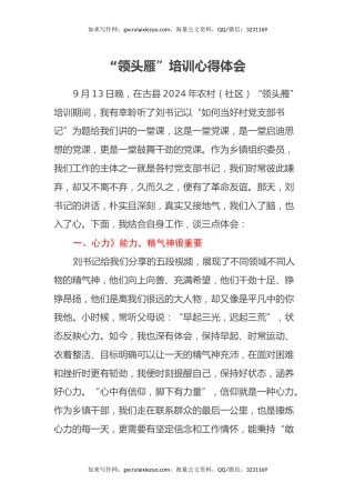 “领头雁”培训心得体会