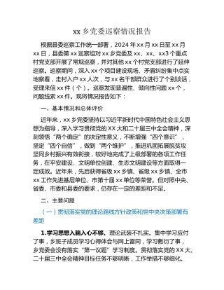 xx乡党委巡察情况报告
