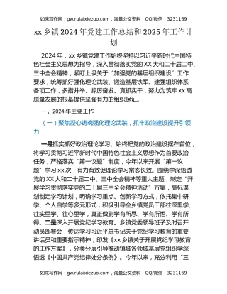 xx乡镇2024年党建工作总结和2025年党建工作计划（2）