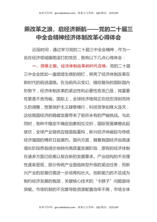 乘改革之浪，启经济新航——党的二十届三中全会精神经济体制改革心得体会