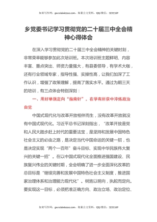 乡党委书记学习贯彻党的二十届三中全会精神心得体会