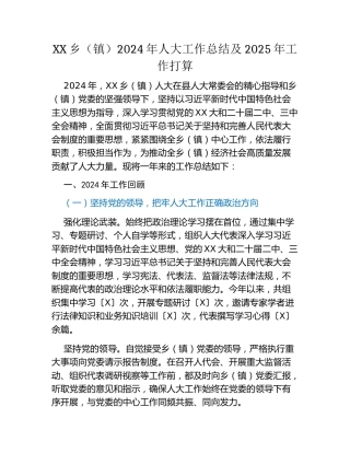 XX乡（镇）2024年人大工作总结及2025年工作打算
