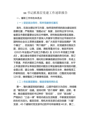 xx书记抓基层党建工作述职报告