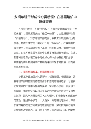 乡镇年轻干部成长心得感悟：在基层熔炉中淬炼青春