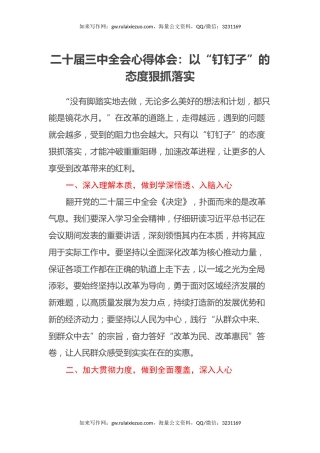 二十届三中全会心得体会：以“钉钉子”的态度狠抓落实