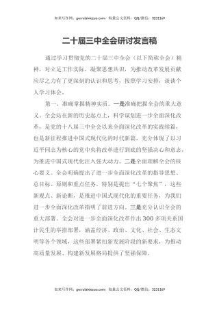 二十届三中全会研讨发言稿