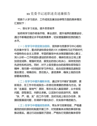 xx党委书记述职述责述廉报告