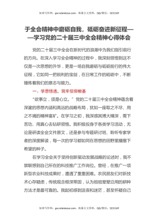 于全会精神中磨砺自我，砥砺奋进新征程——学习党的二十届三中全会精神心得体会