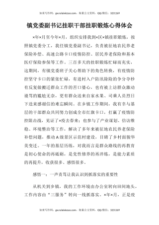 镇党委副书记挂职干部挂职锻炼心得体会