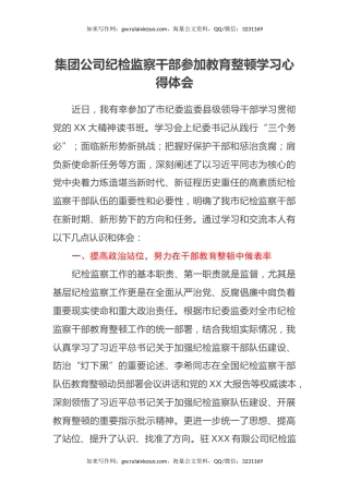 集团公司纪检监察干部参加教育整顿学习心得体会