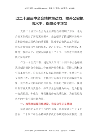 以二十届三中全会精神为动力，提升公安执法水平，保障公平正义