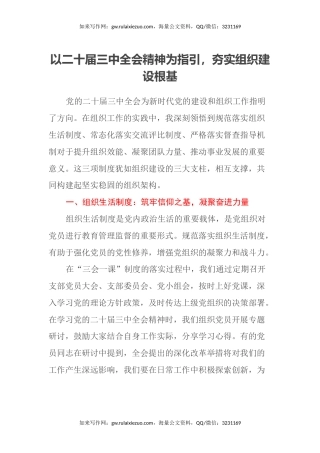 以二十届三中全会精神为指引，夯实组织建设根基