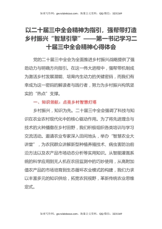 以二十届三中全会精神为指引，强帮带打造乡村振兴“智慧引擎”——第一书记学习二十届三中全会精神心得体会