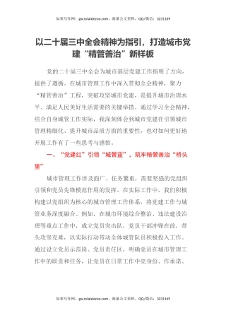 以二十届三中全会精神为指引，打造城市党建“精管善治”新样板
