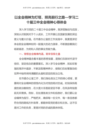 以全会精神为灯塔，照亮前行之路—学习二十届三中全会精神心得体会