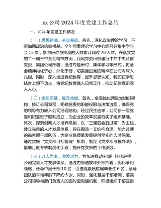 xx公司2024年度党建工作总结