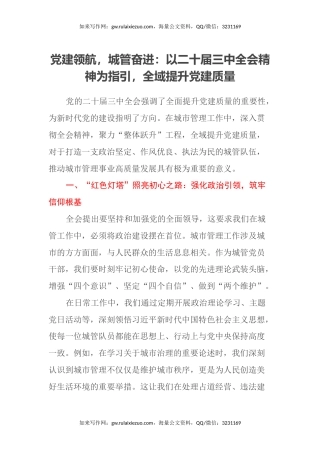 党建领航，城管奋进：以二十届三中全会精神为指引，全域提升党建质量