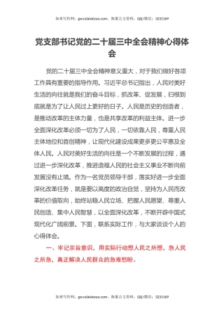 党支部书记党的二十届三中全会精神心得体会