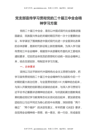 党支部宣传学习贯彻党的二十届三中全会精神学习方案