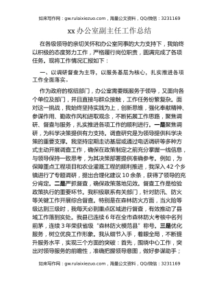 xx办公室副主任工作总结