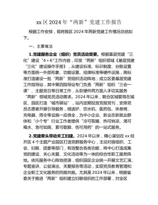 xx区2024年“两新”党建工作报告