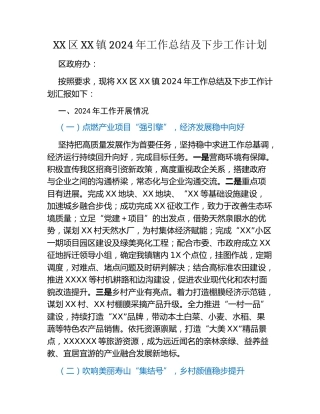 XX区XX镇 2024年工作总结及下步工作计划