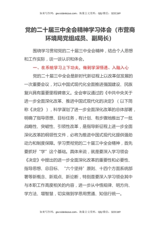 党的二十届三中全会精神学习体会（市营商环境局党组成员、副局长）
