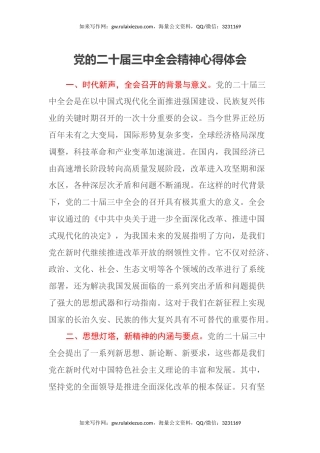 党的二十届三中全会精神心得体会 (2)