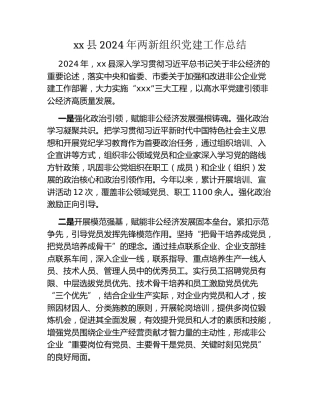 xx县2024年两新组织党建工作总结 (2)