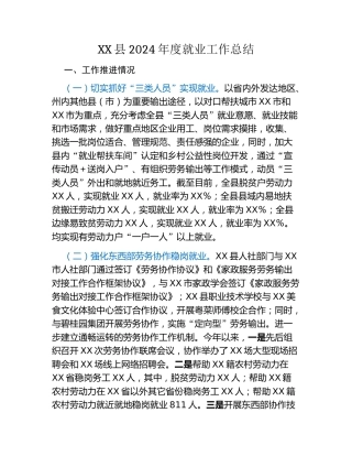 XX县2024年度就业工作总结
