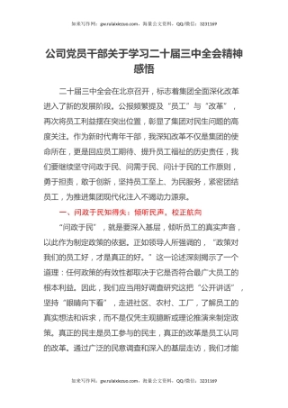 公司党员干部关于学习二十届三中全会精神感悟