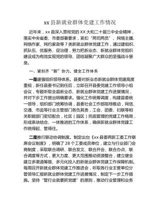 xx县新就业群体党建工作情况