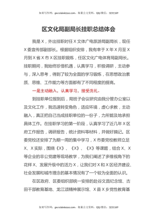 区文化局副局长挂职总结体会