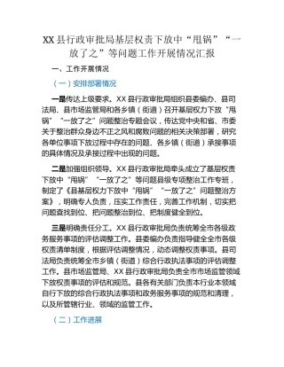 XX县行政审批局 基层权责下放中“甩锅”“一放了之”等问题 工作开展情况汇报