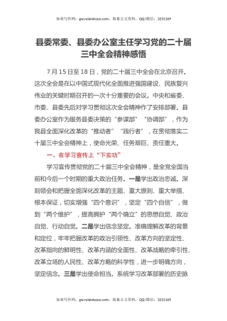 县委常委、县委办公室主任学习党的二十届三中全会精神感悟