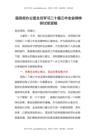 县政府办公室主任学习二十届三中全会精神研讨发言稿