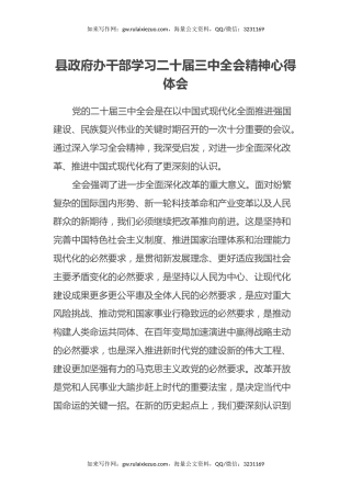 县政府办干部学习二十届三中全会精神心得体会 (2)