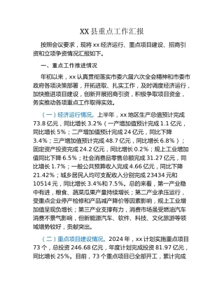 XX县重点工作汇报