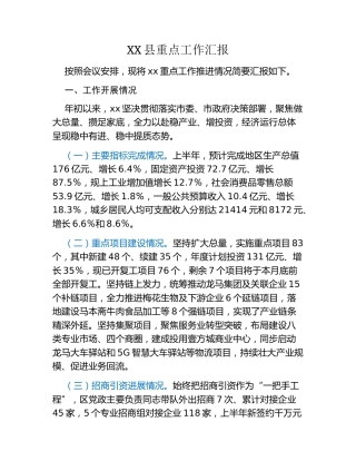 XX县重点工作汇报 (5)