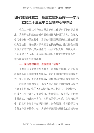 四个维度齐发力，基层党建焕新辉——学习党的二十届三中全会精神心得体会