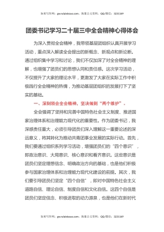 团委书记学习二十届三中全会精神心得体会