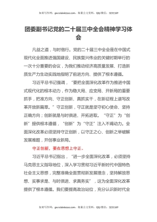 团委副书记党的二十届三中全会精神学习体会