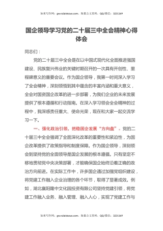 国企领导学习党的二十届三中全会精神心得体会 (2)