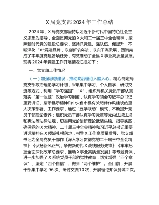 XX局党支部2024年工作总结
