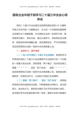 国有企业中层干部学习二十届三中全会心得体会