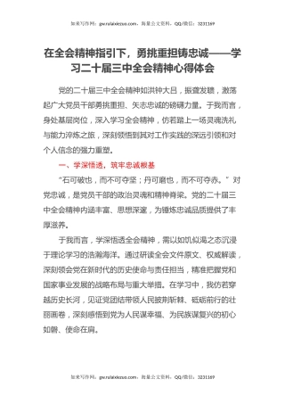 在全会精神指引下，勇挑重担铸忠诚——学习二十届三中全会精神心得体会