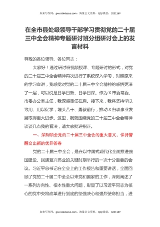 在全市县处级领导干部学习贯彻党的二十届三中全会精神专题研讨班分组研讨会