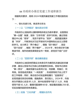 xx市政府办基层党建工作述职报告